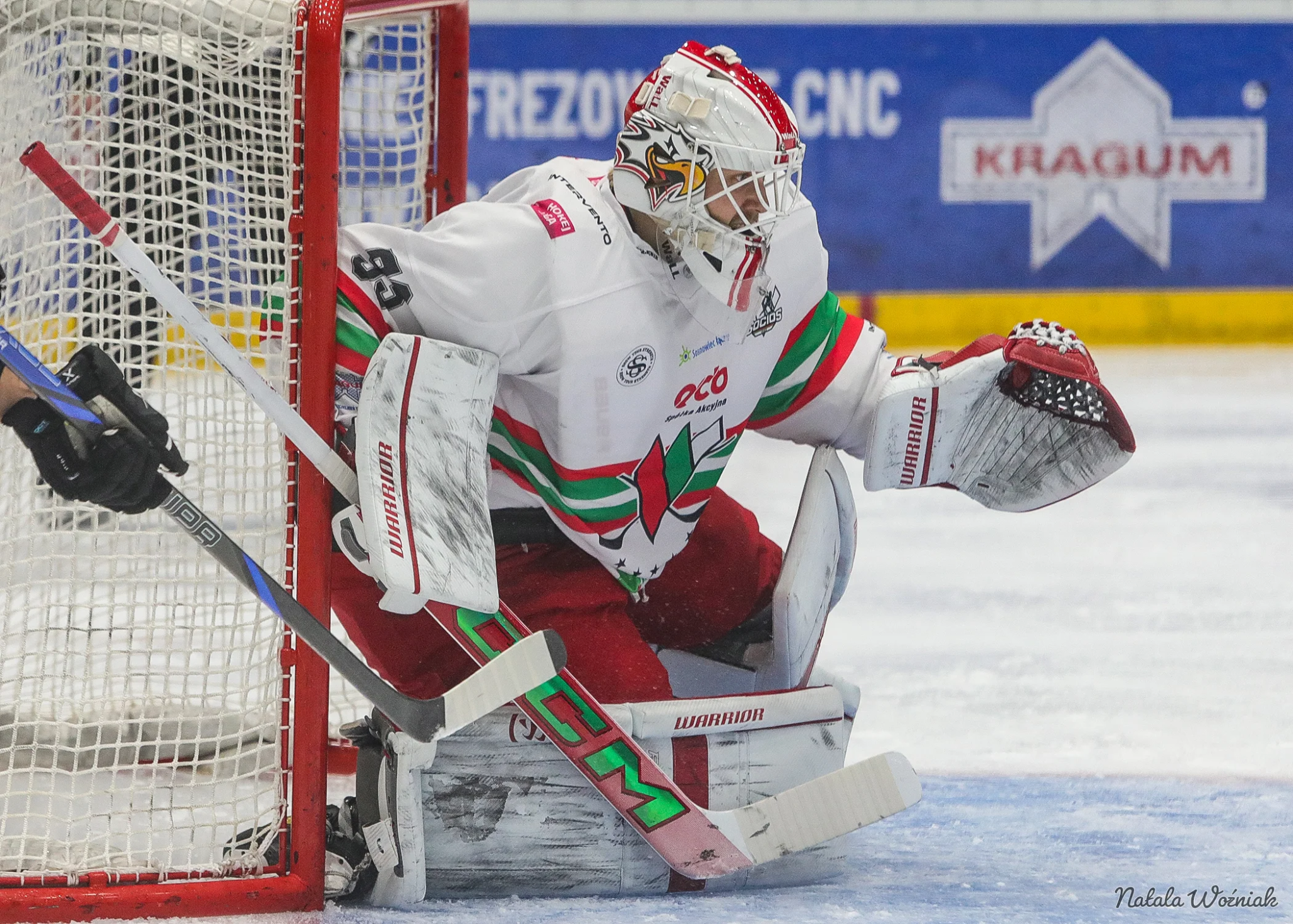 obraz_2026-02-23_214321259