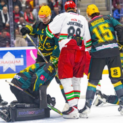 Podsumowanie fazy zasadniczej Polskiej Hokej Ligi