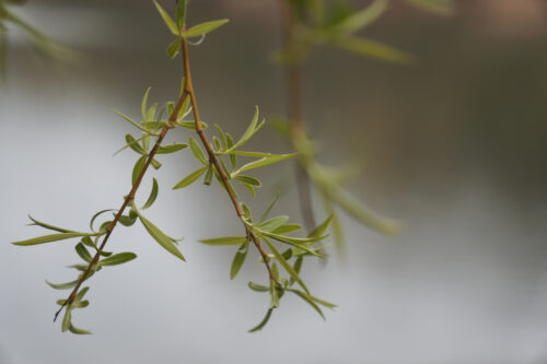 2026 04 12 Spacer fotograficzny (c) Basia Jendrzejczyk - piszeskladampstrykam.pl-1