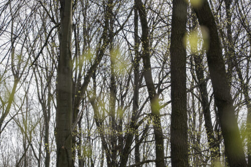 2026 04 12 Spacer fotograficzny (c) Basia Jendrzejczyk - piszeskladampstrykam.pl-10