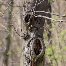 Wiosna w obiektywie – sprawdź naszą fotorelację