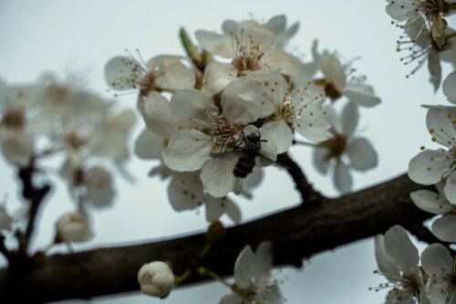 Martyna Kręcichwost-2