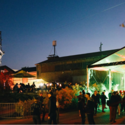 Muzyka, sztuka i industrialny klimat – CARBON Silesia Festival 2026