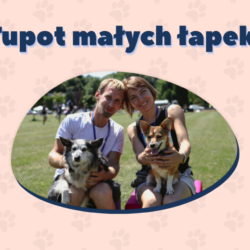 Charytatywny bieg z psami „Tupot małych łapek” powraca do Katowic!