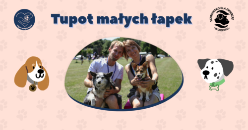 Tupo małych łapek baner